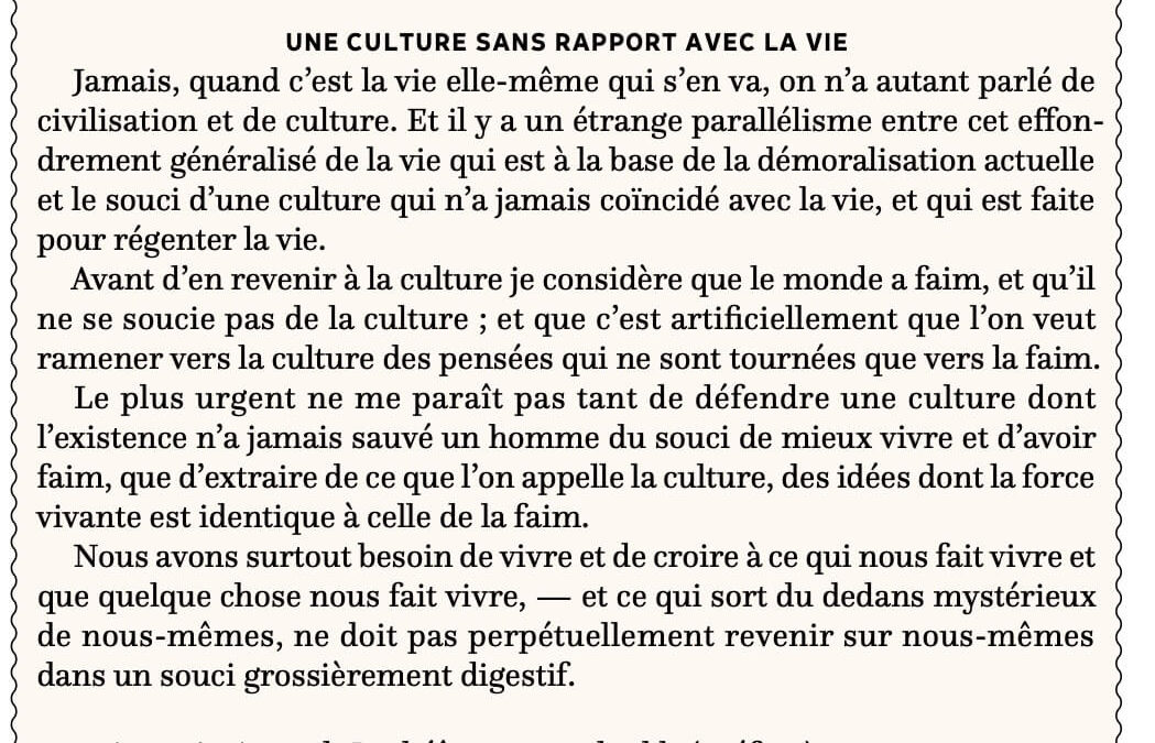 Une culture sans rapport avec la vie
