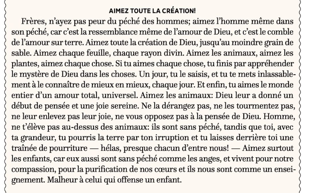 Aimez toute la création!