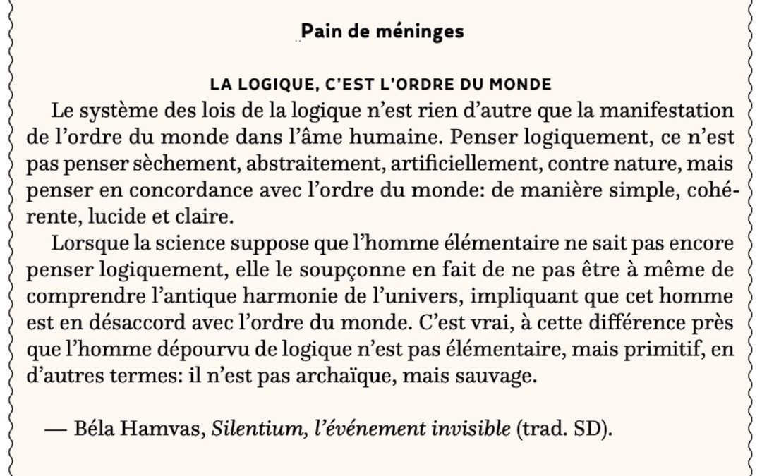 La logique, c’est l’ordre du monde