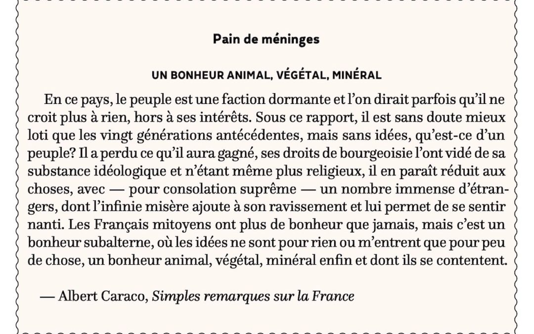 Un bonheur animal, végétal, minéral