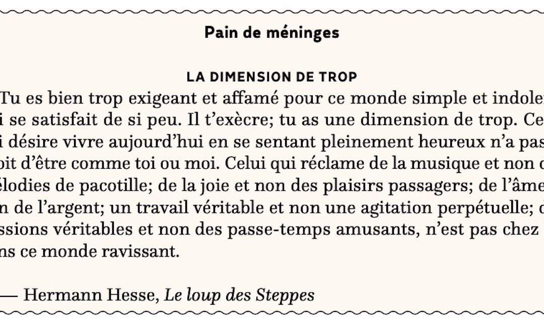 La dimension de trop