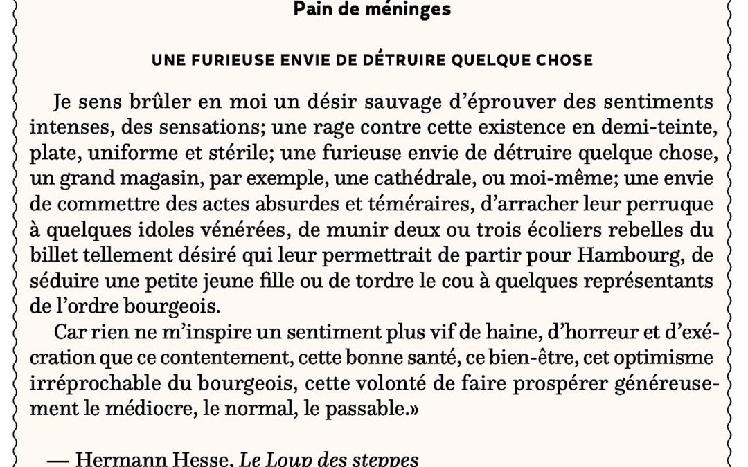 Une  furieuse envie de détruire quelque chose