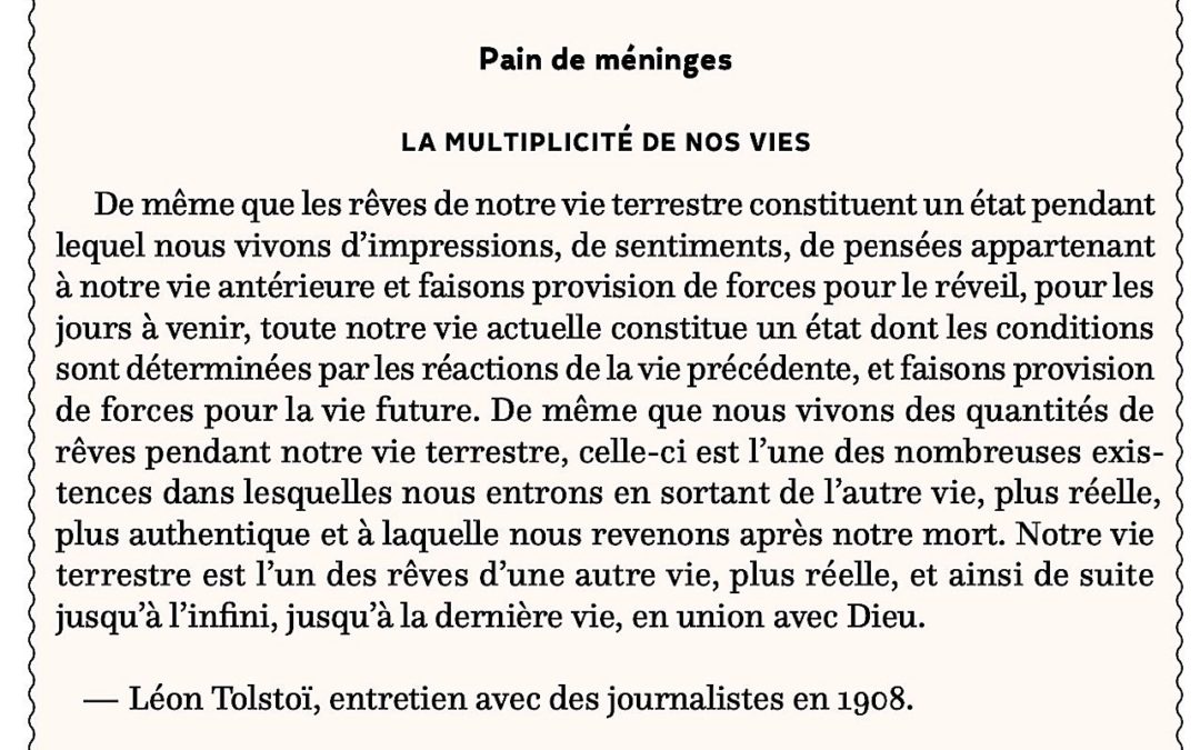 La multiplicité de nos vies