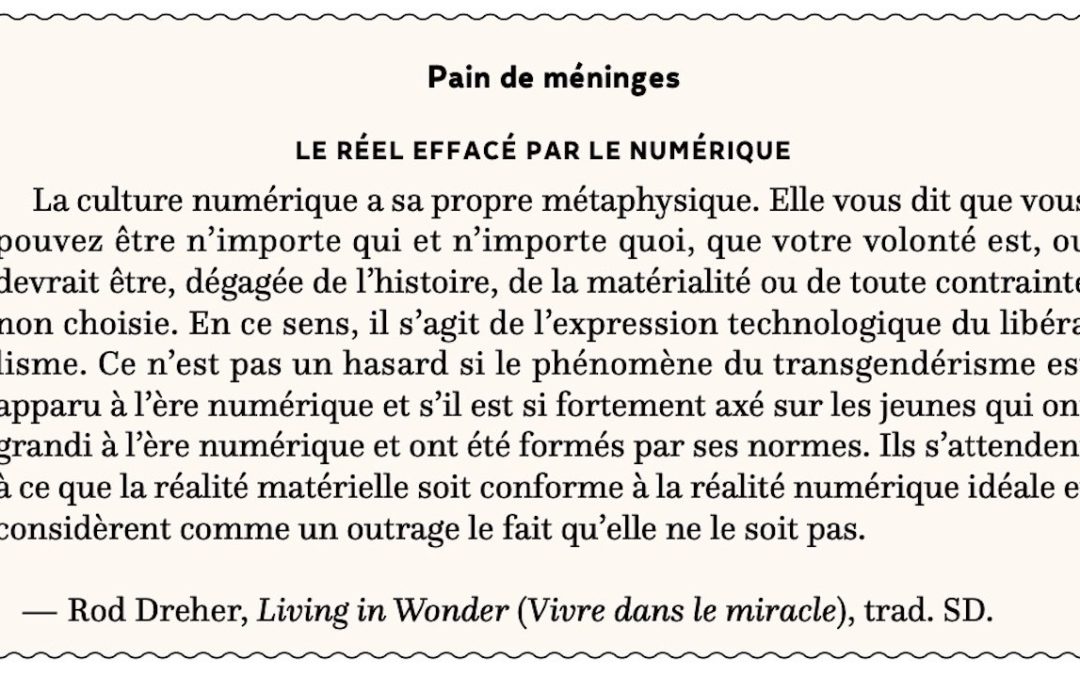 Le réel effacé par le numérique
