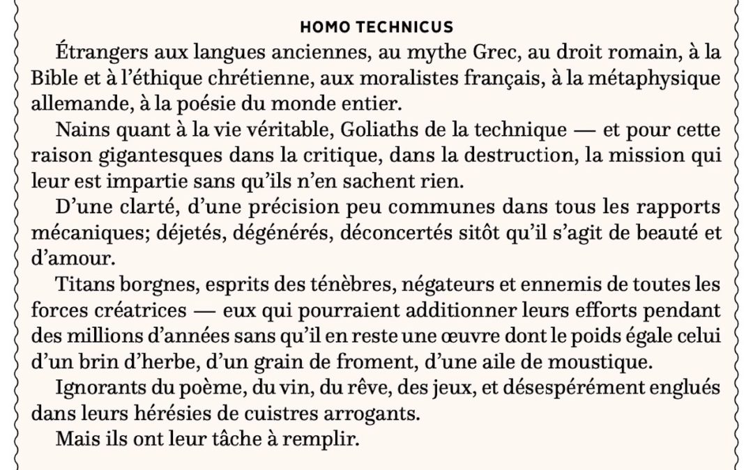 Homo technicus