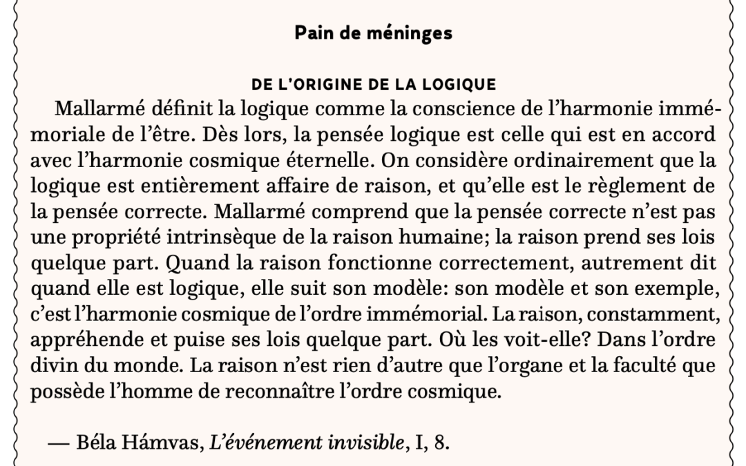 De l’origine de la logique