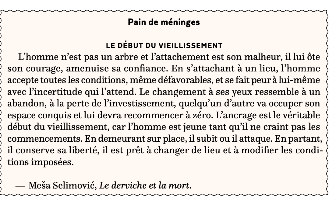 Le début du vieillissement