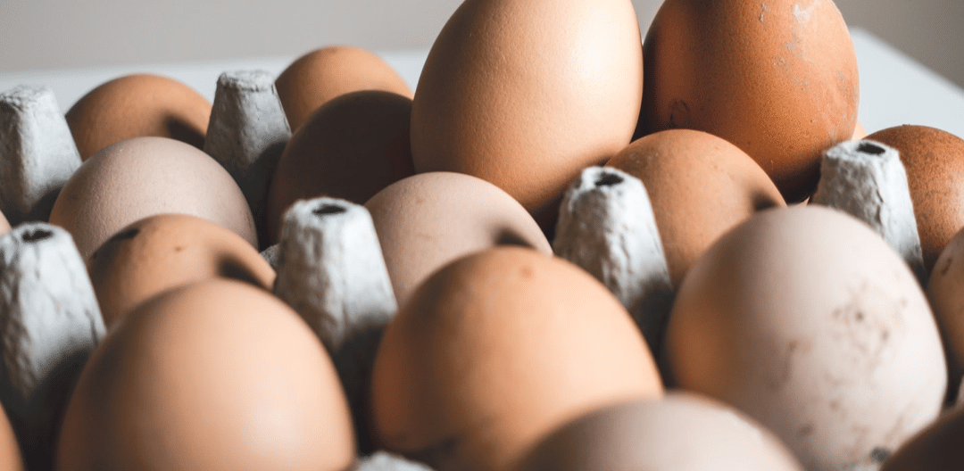 #ECOLO | Gaspillages d’échelle, la preuve par l’œuf