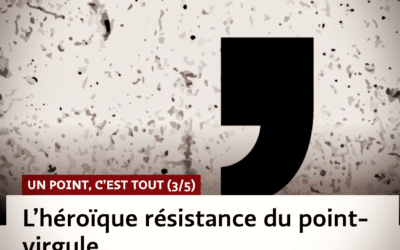 #LANGUE FRANÇAISE | Le point-virgule ne se rend pas!