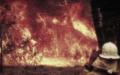 AUSTRALIE • Les incendies géants, des feux verts?