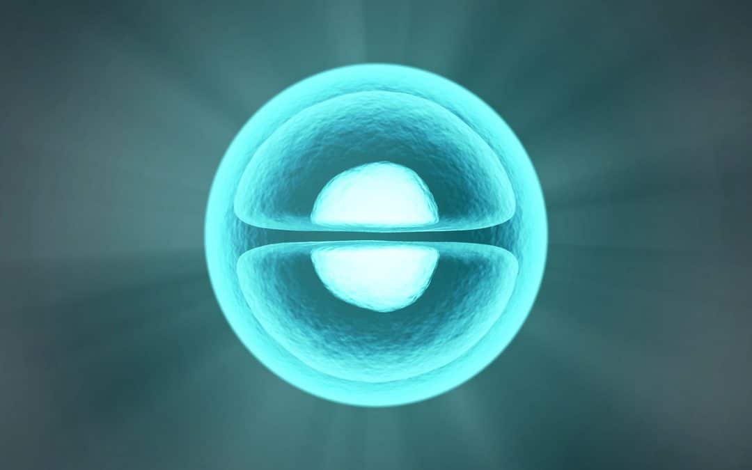 CORONAVIRUS • L’ethnobombe: réalité ou fantasme de complotistes?