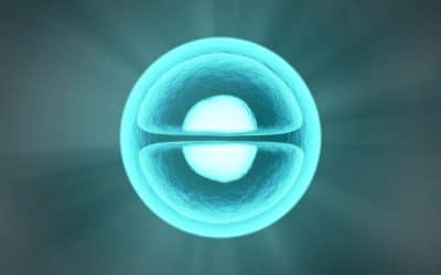 CORONAVIRUS • L’ethnobombe: réalité ou fantasme de complotistes?