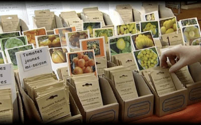 COVID_19 • Suisses, il vous est interdit de planter vos salades!