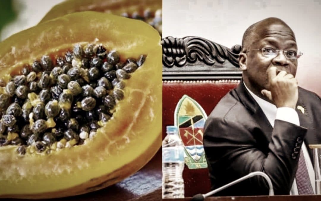 COVID-19 • Une papaye testée positive