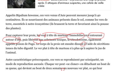 MÉDIA-ILLETTRISME • CNEWS, martel en tête!