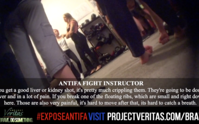 ENQUETE • Le fascisme qui se dit «anti»…