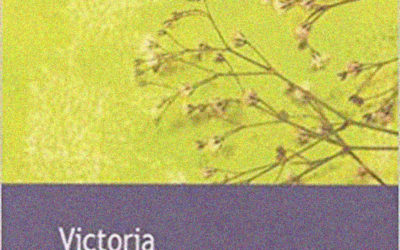 LISEZ-MOI ÇA! • «Victoria» de Knut Hamsun