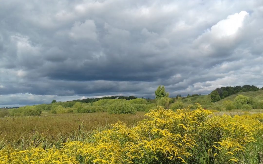LISEZ-MOI ÇA! • Les Chroniques de Pereslavl de Laurence Guillon