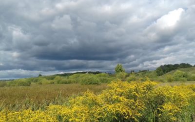 LISEZ-MOI ÇA! • Les Chroniques de Pereslavl de Laurence Guillon