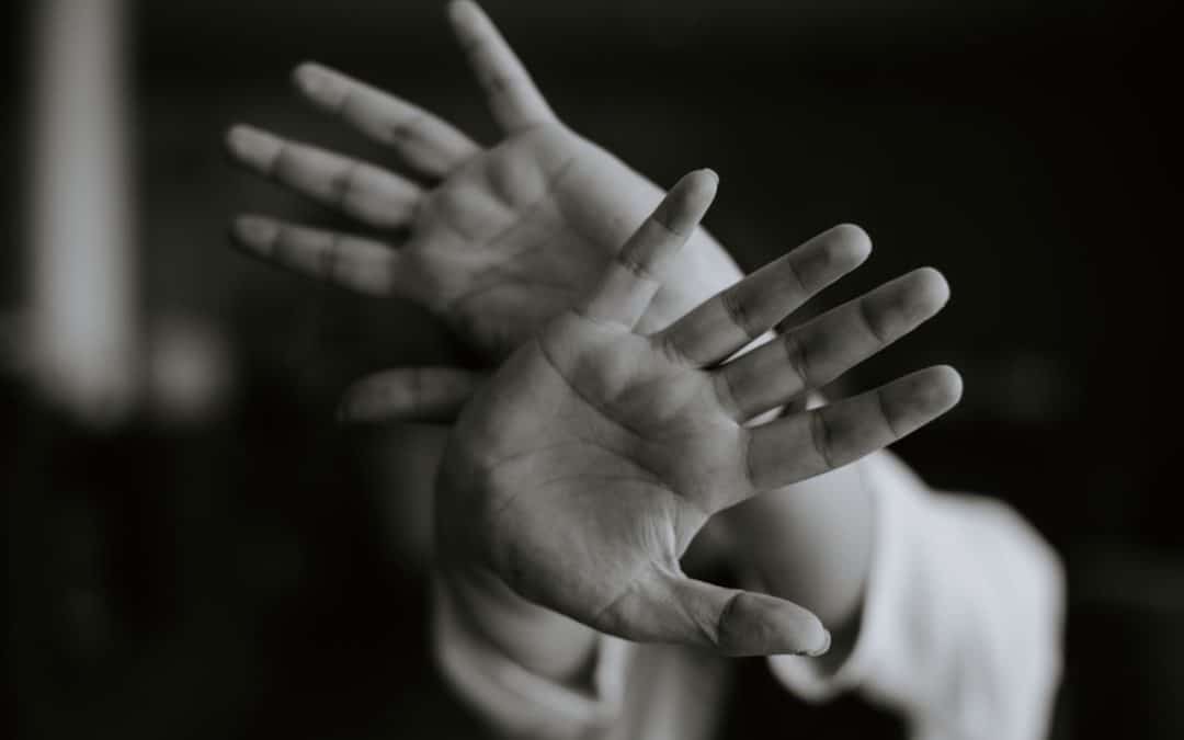 TRIBUNE • Quand la sottise le dispute à la peur