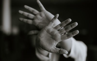 TRIBUNE • Quand la sottise le dispute à la peur