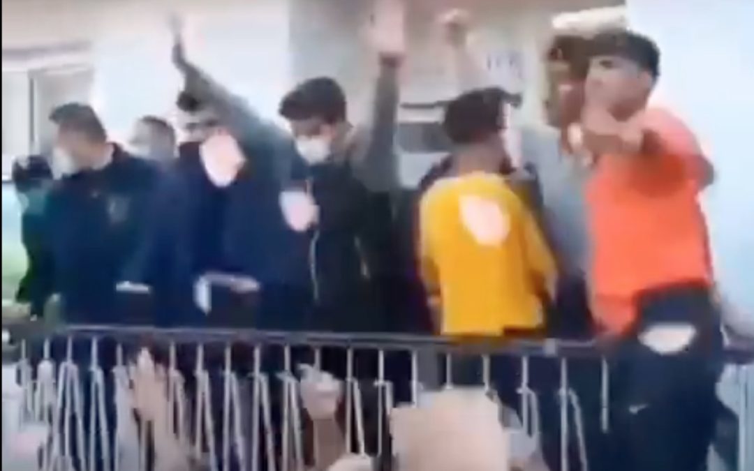 MARQUE-PAGES • La semaine du 20 au 26 décembre 2020