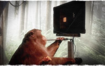 MARQUE-PAGES • La semaine du 4 au 10 avril 2021