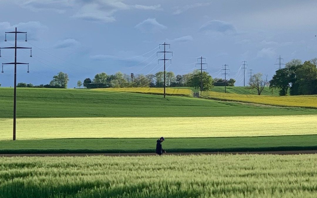 TRIBUNE • Un «oui» à la loi contre les pesticides de synthèse