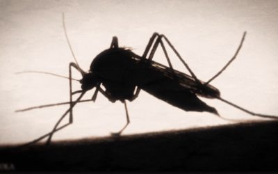 MARQUE-PAGES • La semaine du 2 au 8 mai 2021