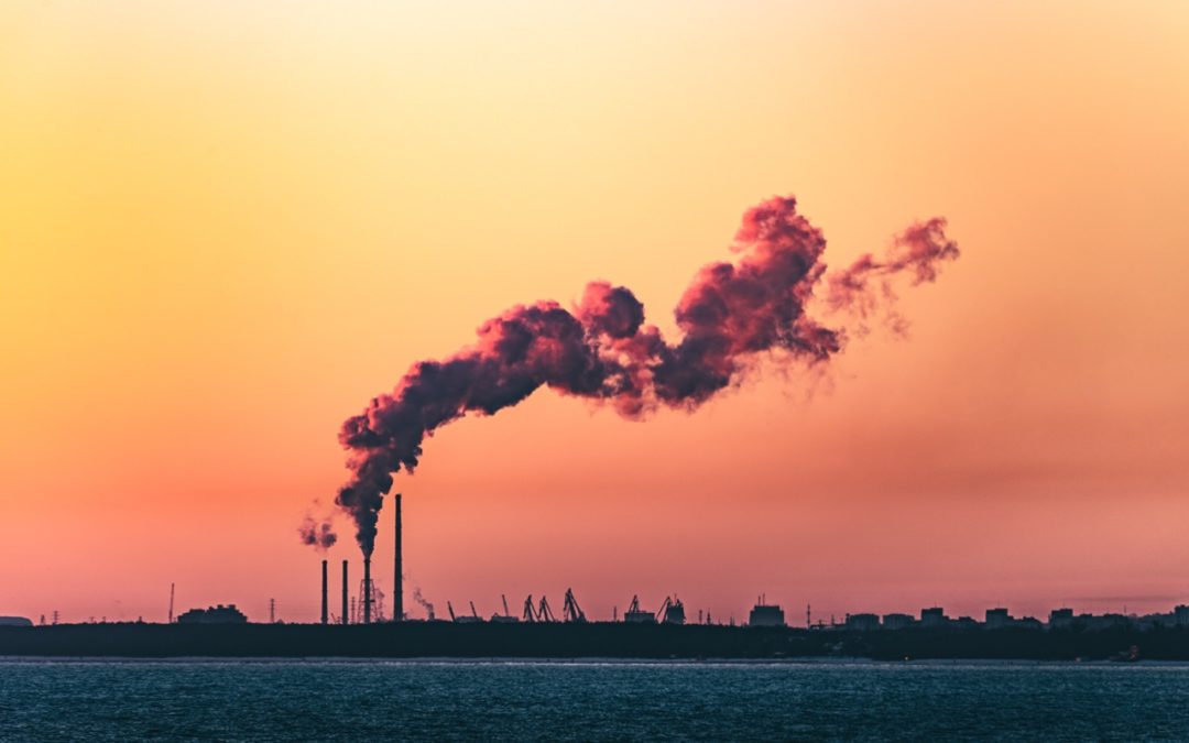 TRIBUNE • Vivre et progresser avec énergie: quelles alternatives?