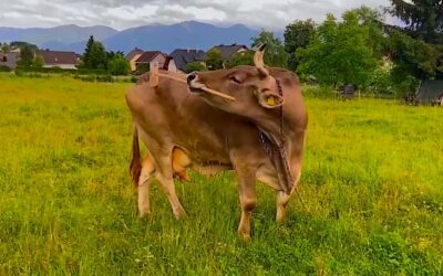 MARQUE-PAGES • La semaine du 18 au 24 janvier 2026